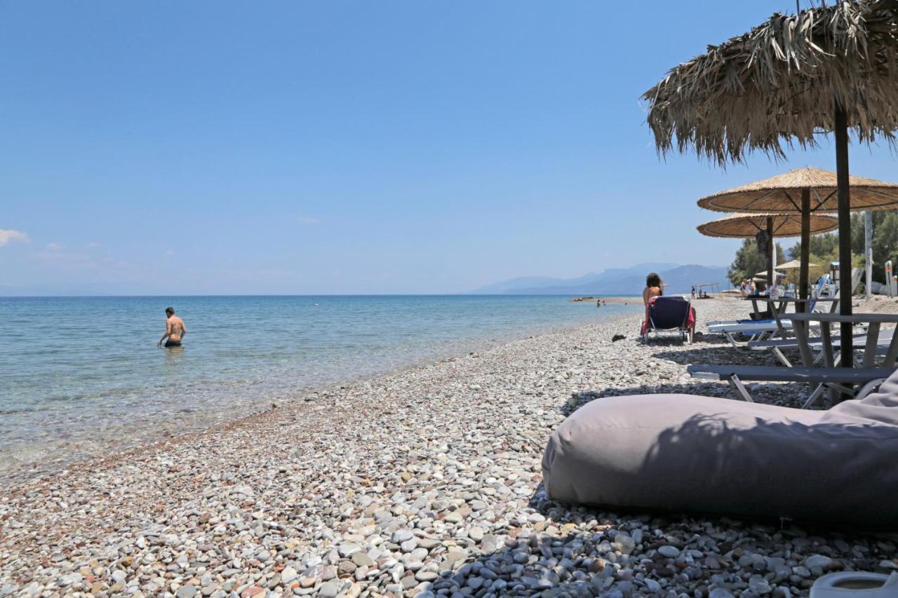 Oliva Holiday Homes Dhiyellótika Buitenkant foto